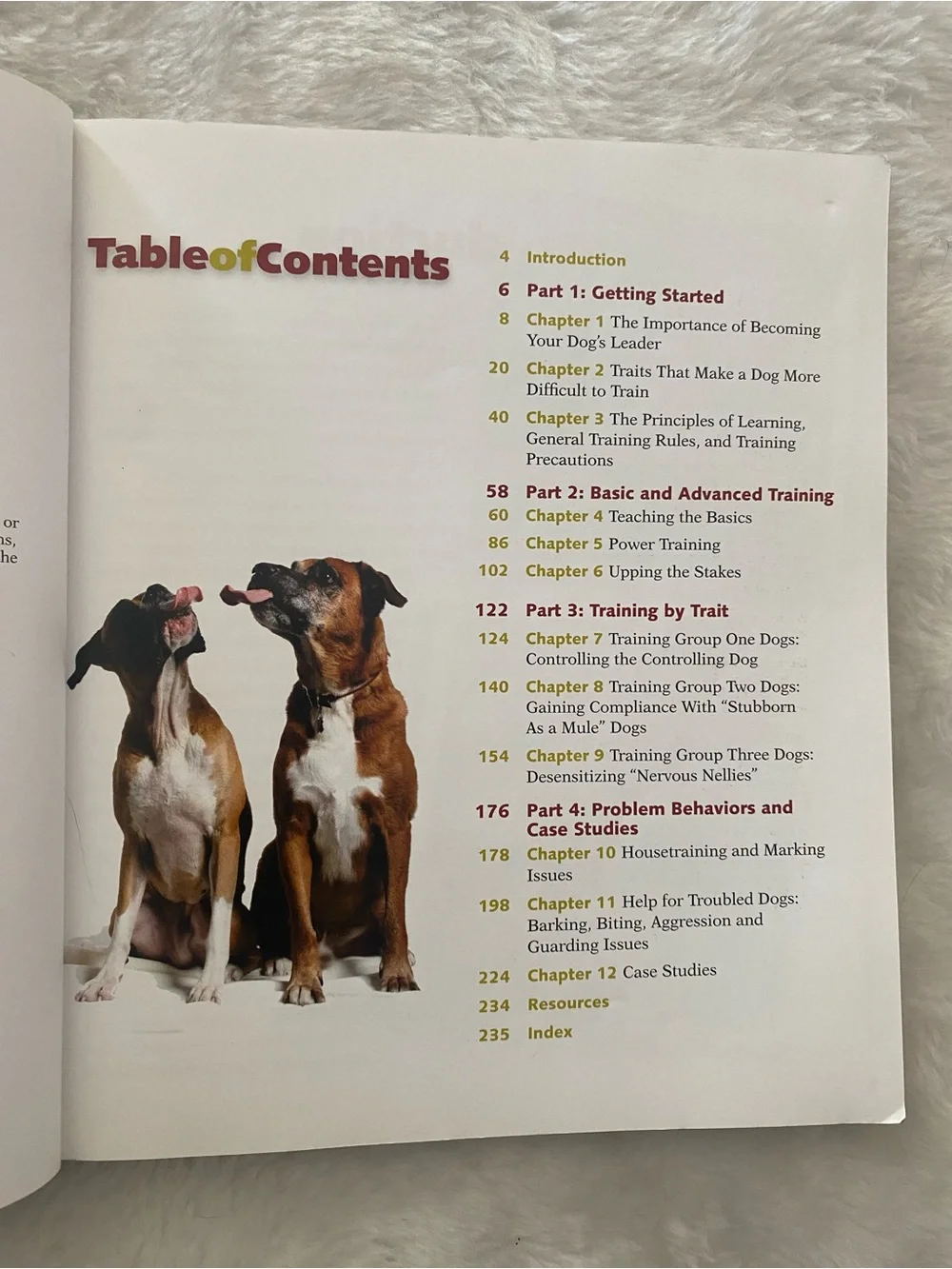 Two Dog Training Books